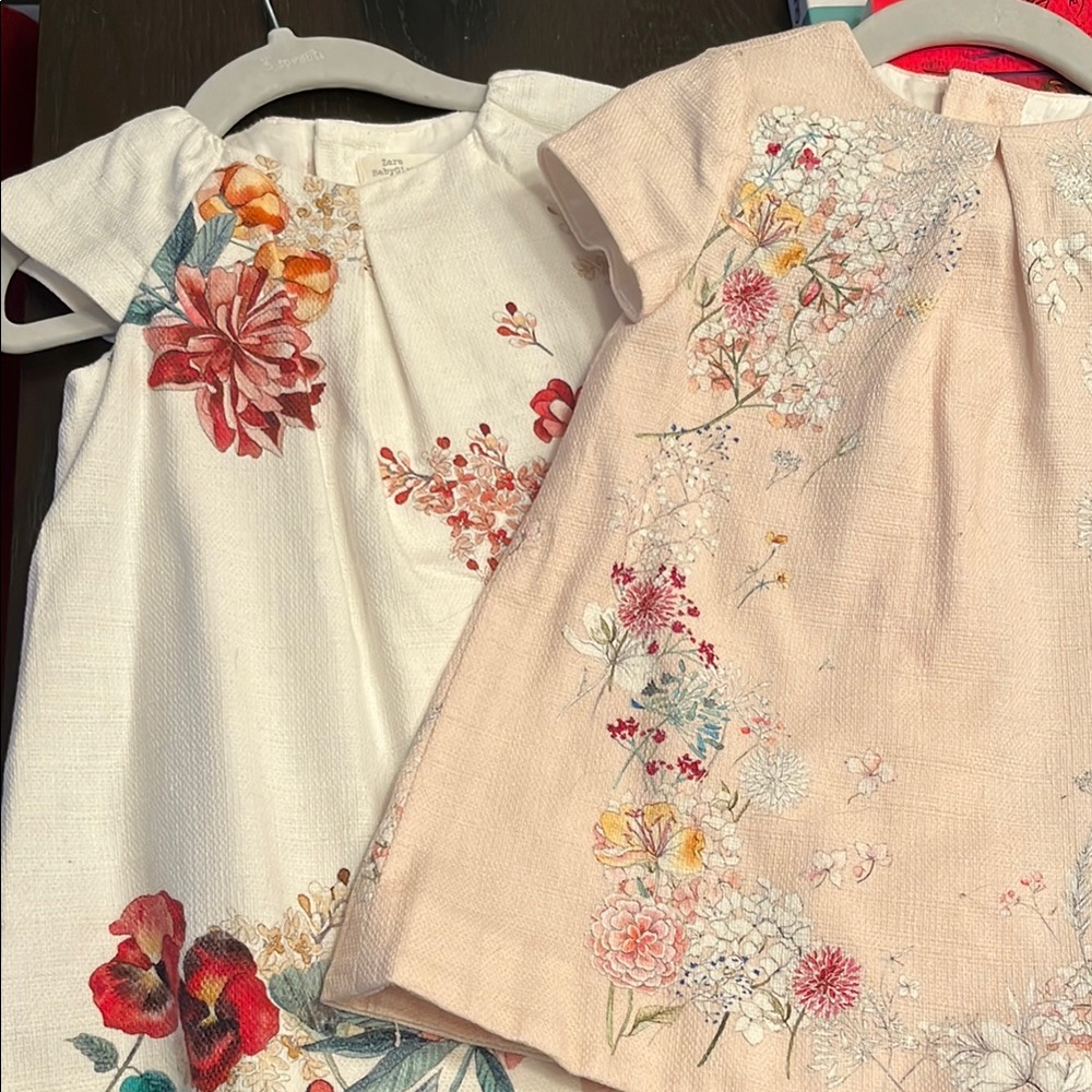 2 Zara Embroidered floral Dresses